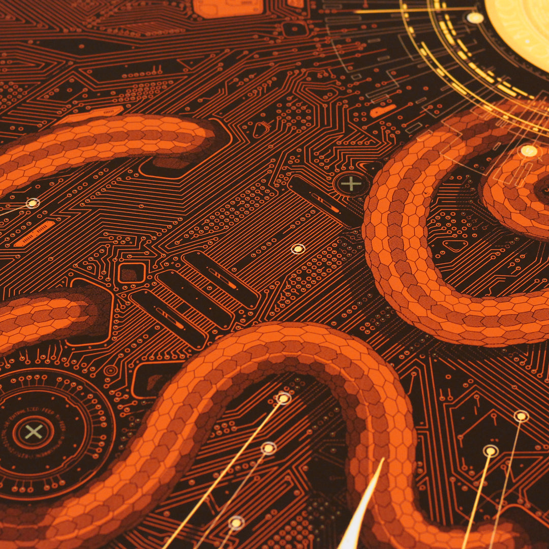 Print Edición Limitada by Aleix Gordo